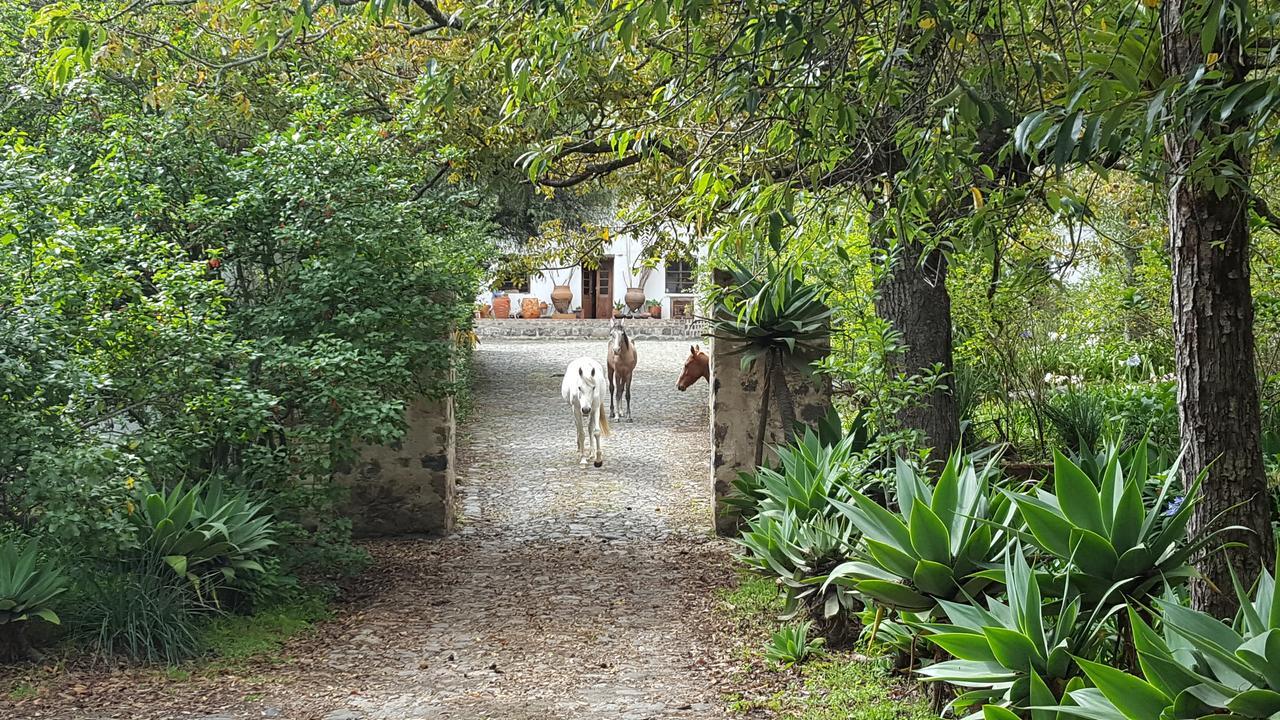 Hotel Hacienda Guachalá Cayambe Exterior foto